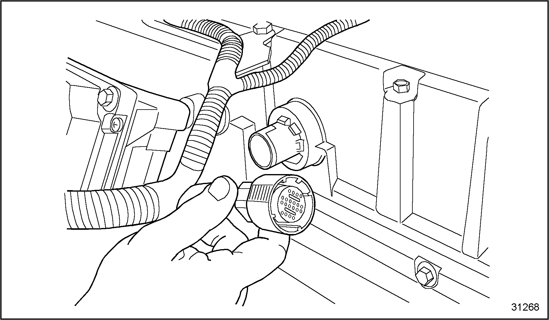 Click to see this graphic in a separate window