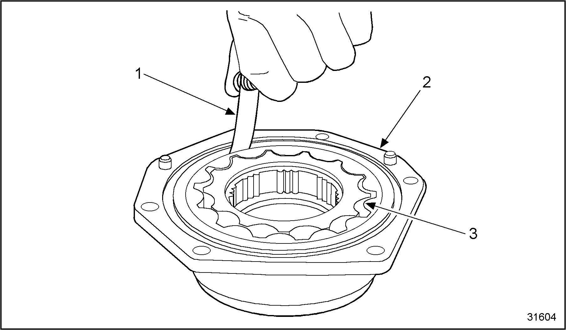 Click to see this graphic in a separate window