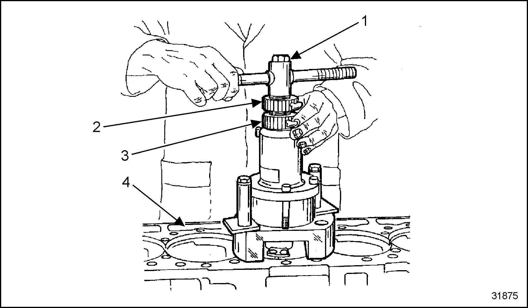 Click to see this graphic in a separate window